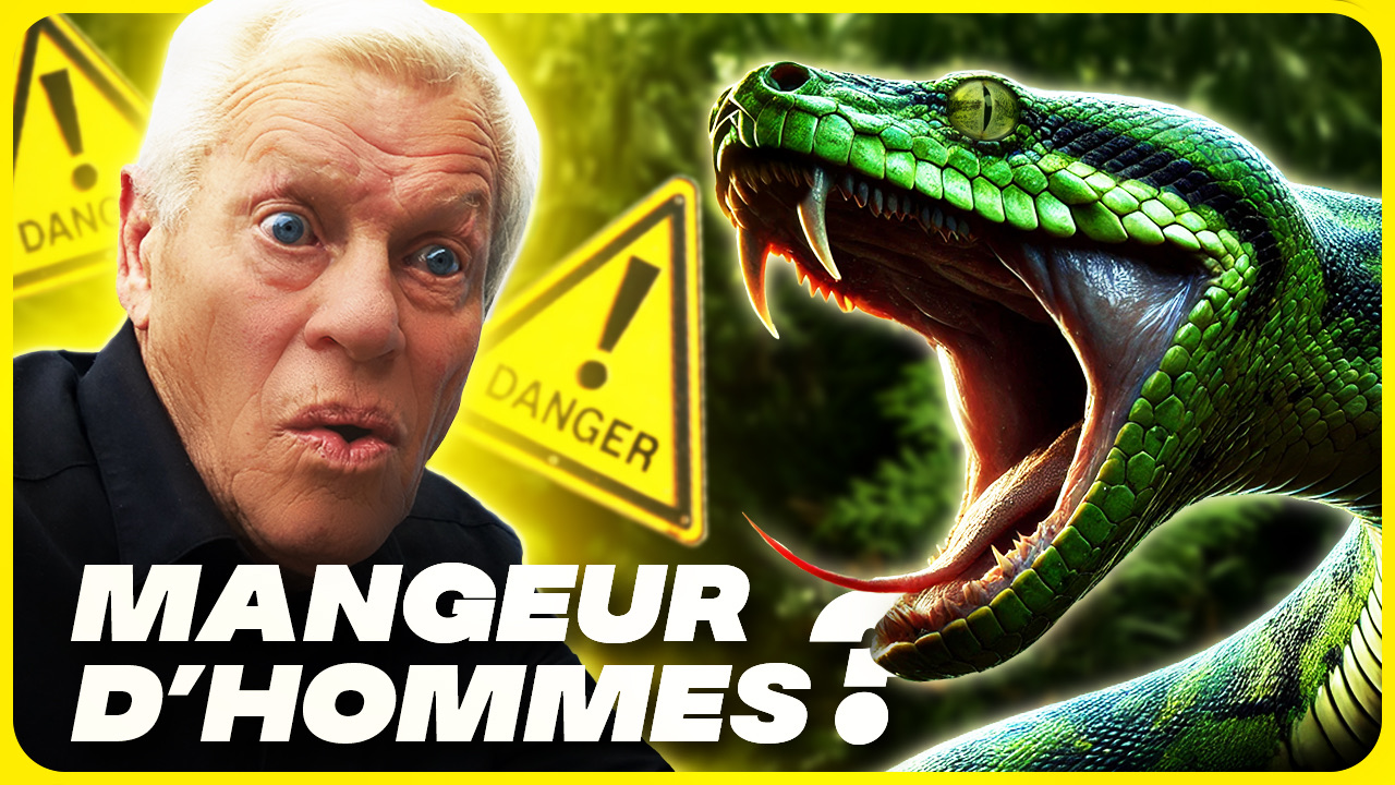Miniature : serpent « mangeur d'hommes »
