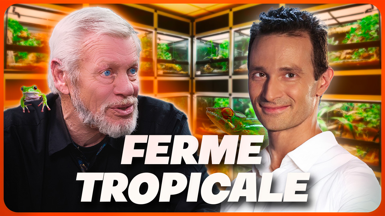 Miniature : la ferme tropicale